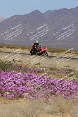 media/Feb-04-2023-SoCal Trackdays (Sat) [[8a776bf2c3]]/Turn 15 Inside Blooming (1050am)/